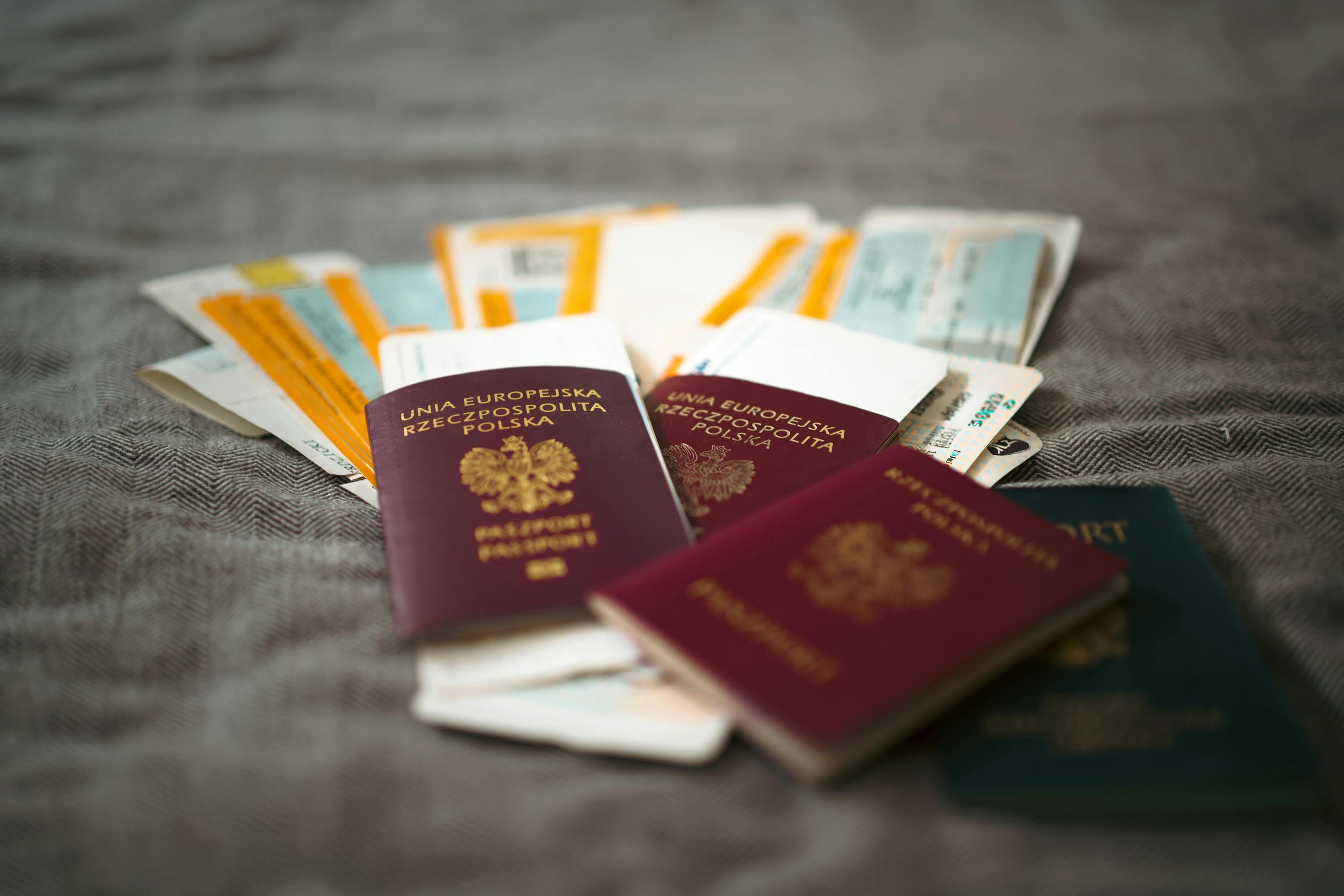 Immigration & Mobilité