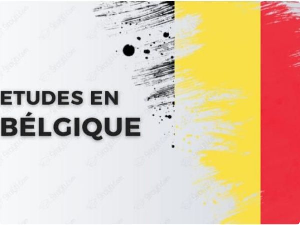 Conseil & Accompagnement
